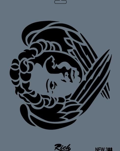 Rich New Seri N388 Stencil 35X25 Cm